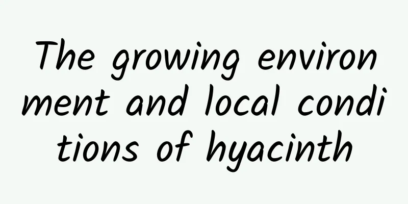 The growing environment and local conditions of hyacinth
