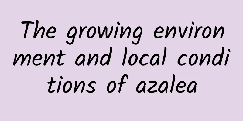 The growing environment and local conditions of azalea