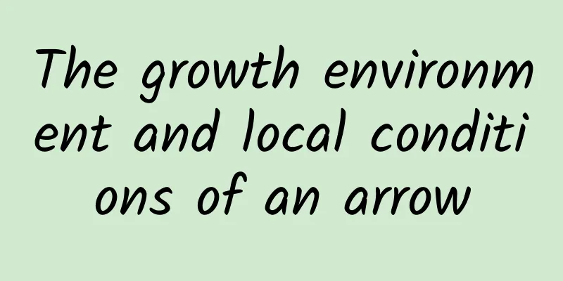 The growth environment and local conditions of an arrow