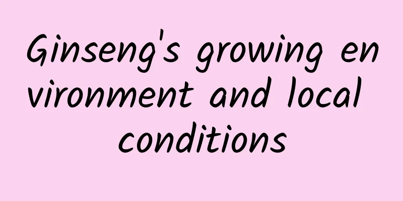 Ginseng's growing environment and local conditions