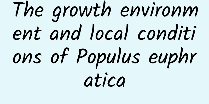 The growth environment and local conditions of Populus euphratica
