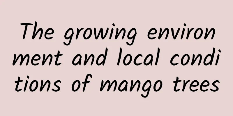 The growing environment and local conditions of mango trees