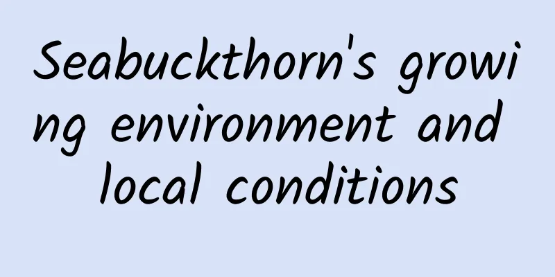 Seabuckthorn's growing environment and local conditions