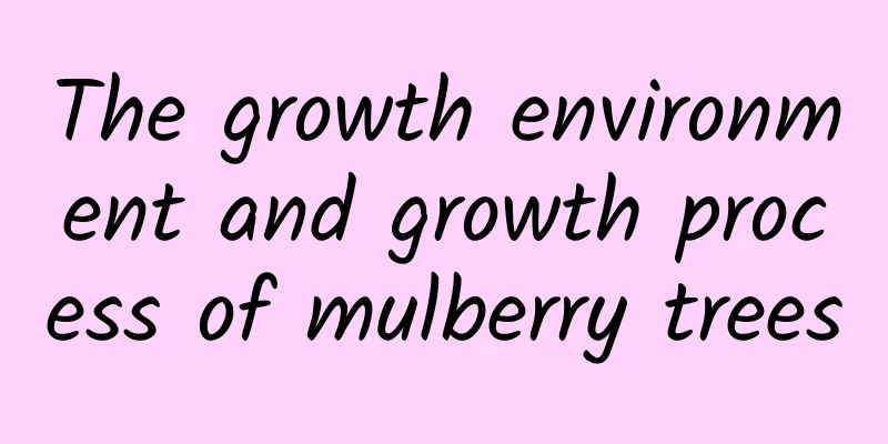 The growth environment and growth process of mulberry trees