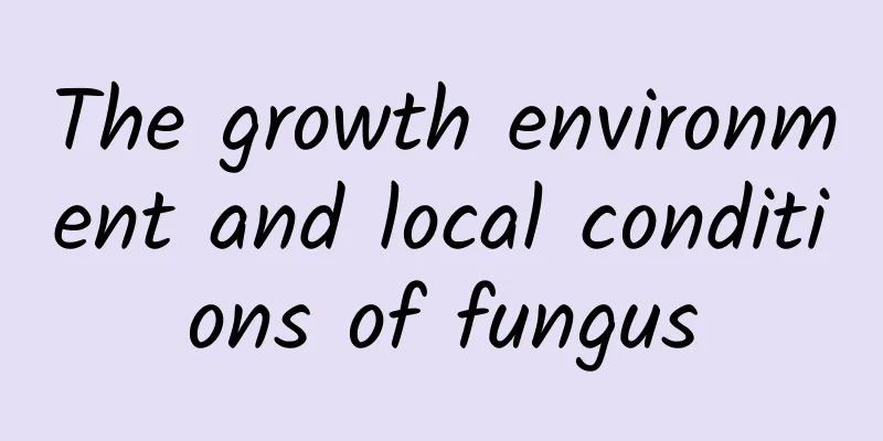 The growth environment and local conditions of fungus