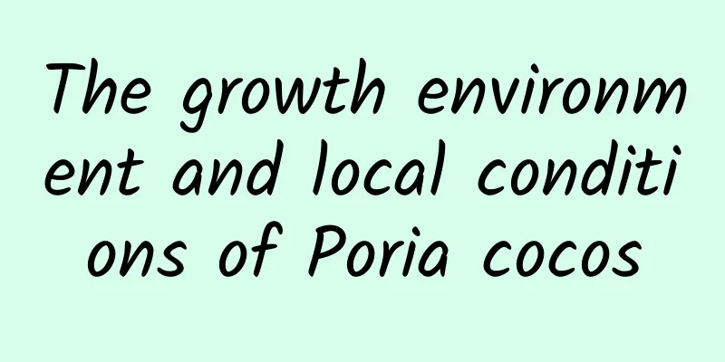 The growth environment and local conditions of Poria cocos