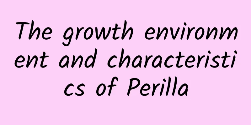 The growth environment and characteristics of Perilla