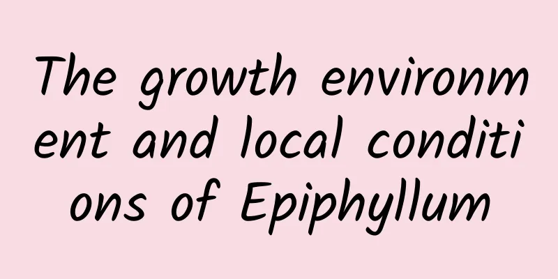 The growth environment and local conditions of Epiphyllum