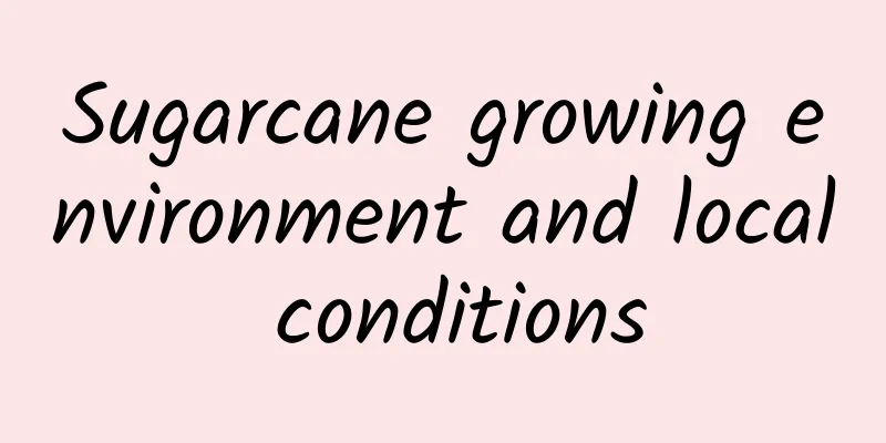 Sugarcane growing environment and local conditions