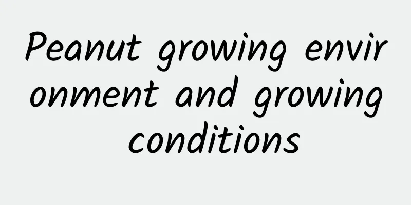Peanut growing environment and growing conditions