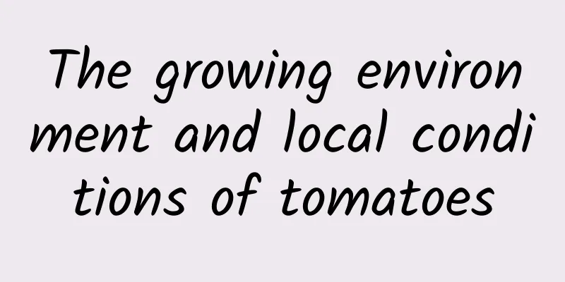 The growing environment and local conditions of tomatoes