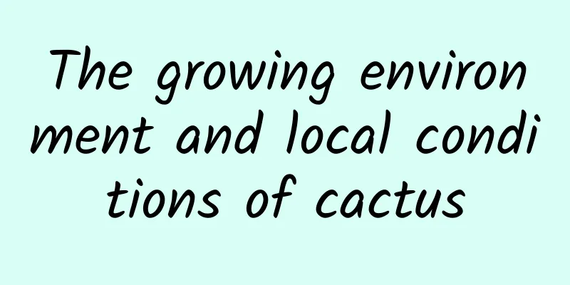 The growing environment and local conditions of cactus