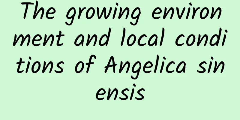 The growing environment and local conditions of Angelica sinensis