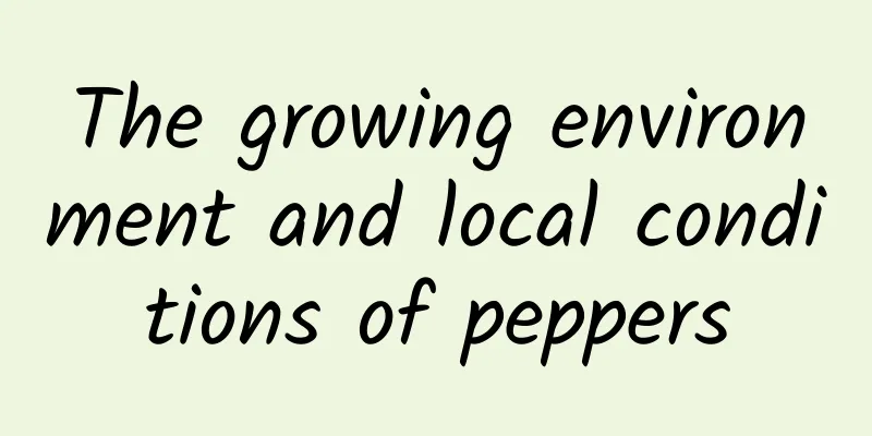 The growing environment and local conditions of peppers
