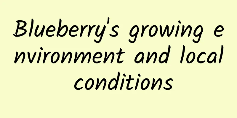 Blueberry's growing environment and local conditions