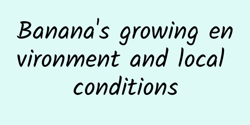Banana's growing environment and local conditions
