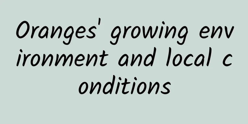 Oranges' growing environment and local conditions