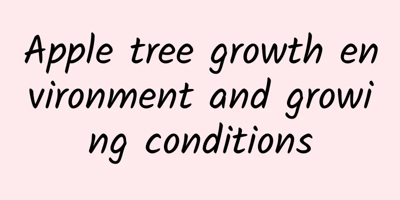 Apple tree growth environment and growing conditions