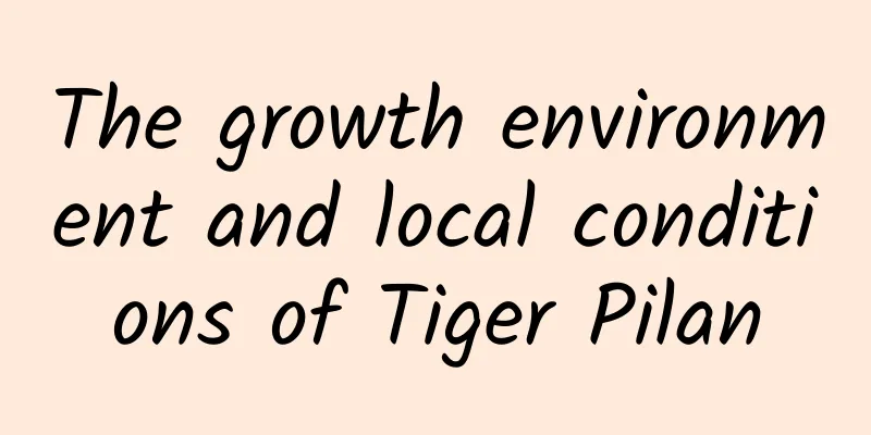The growth environment and local conditions of Tiger Pilan
