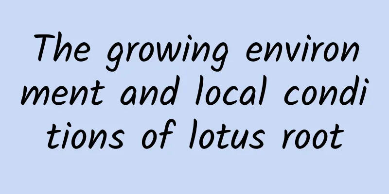 The growing environment and local conditions of lotus root