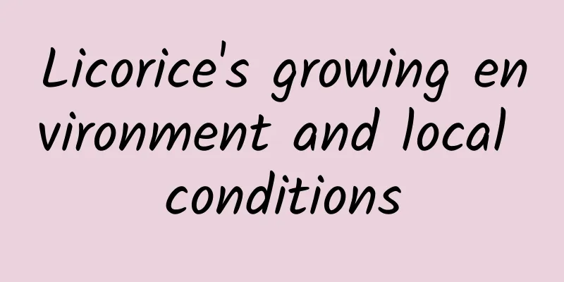 Licorice's growing environment and local conditions