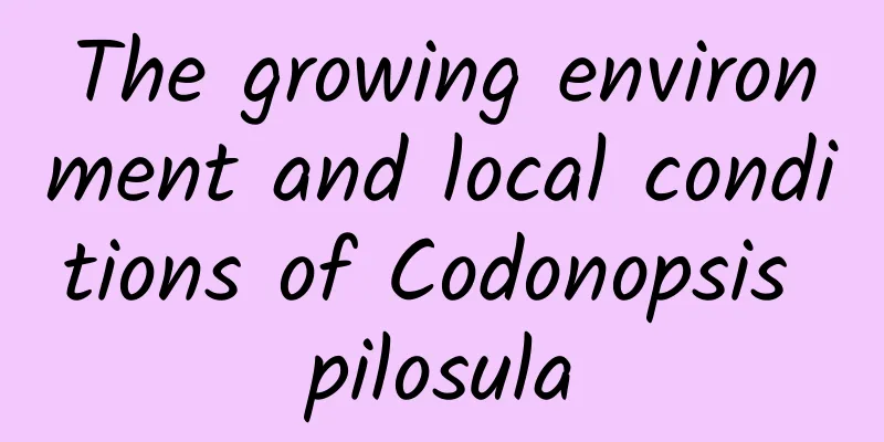 The growing environment and local conditions of Codonopsis pilosula