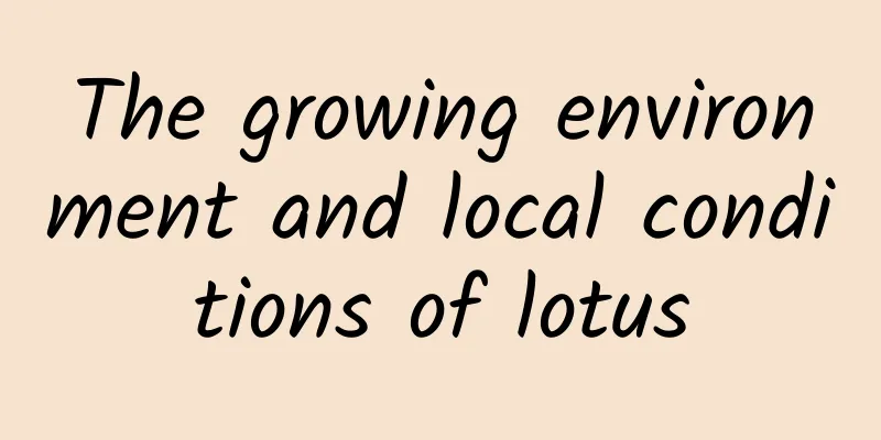 The growing environment and local conditions of lotus