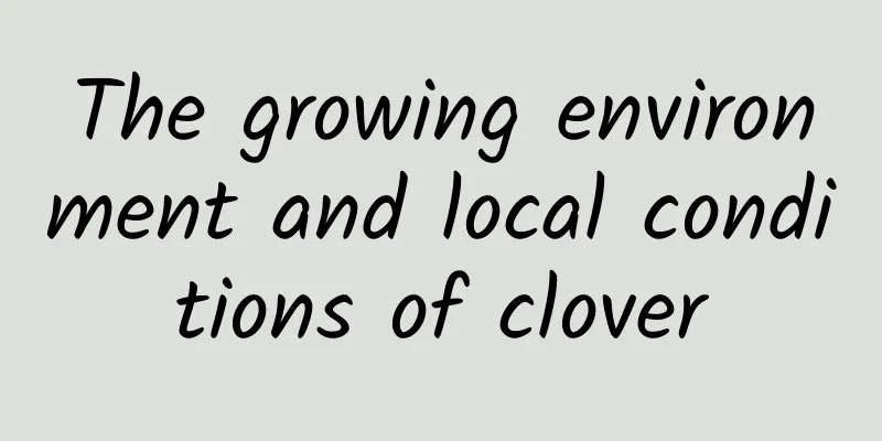 The growing environment and local conditions of clover