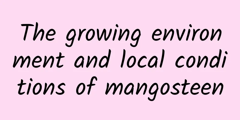 The growing environment and local conditions of mangosteen
