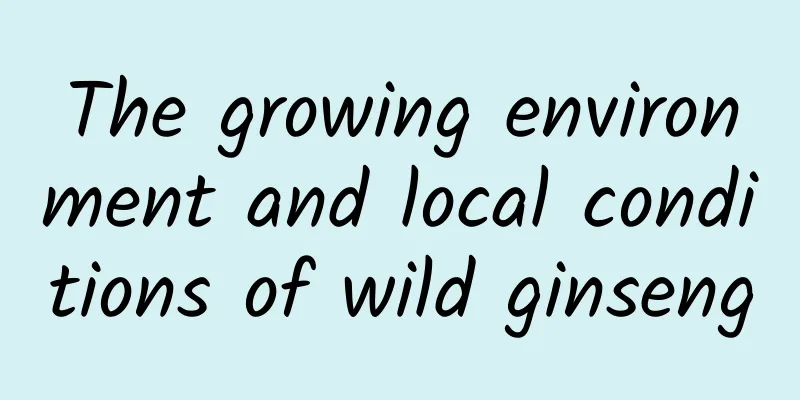 The growing environment and local conditions of wild ginseng