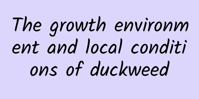 The growth environment and local conditions of duckweed