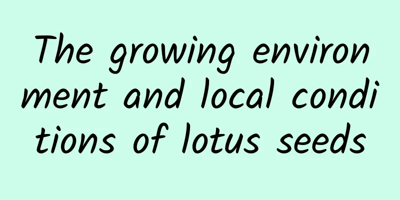 The growing environment and local conditions of lotus seeds