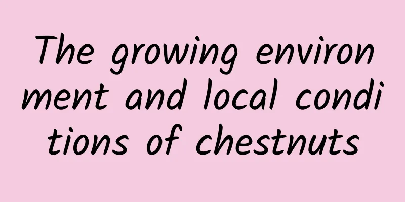 The growing environment and local conditions of chestnuts