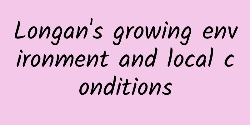 Longan's growing environment and local conditions