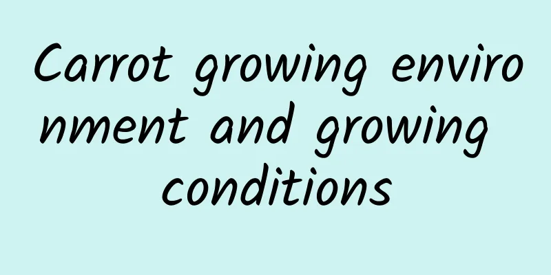 Carrot growing environment and growing conditions