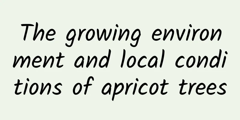 The growing environment and local conditions of apricot trees