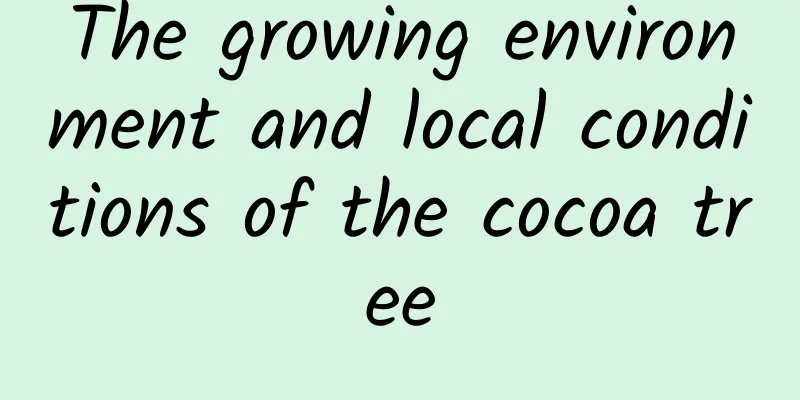 The growing environment and local conditions of the cocoa tree