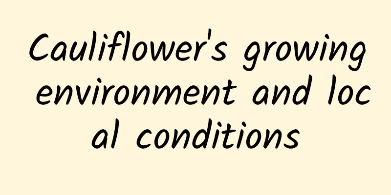 Cauliflower's growing environment and local conditions