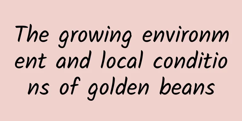 The growing environment and local conditions of golden beans
