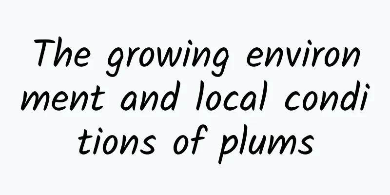 The growing environment and local conditions of plums