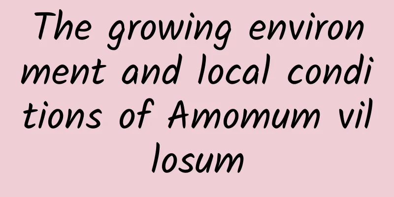 The growing environment and local conditions of Amomum villosum