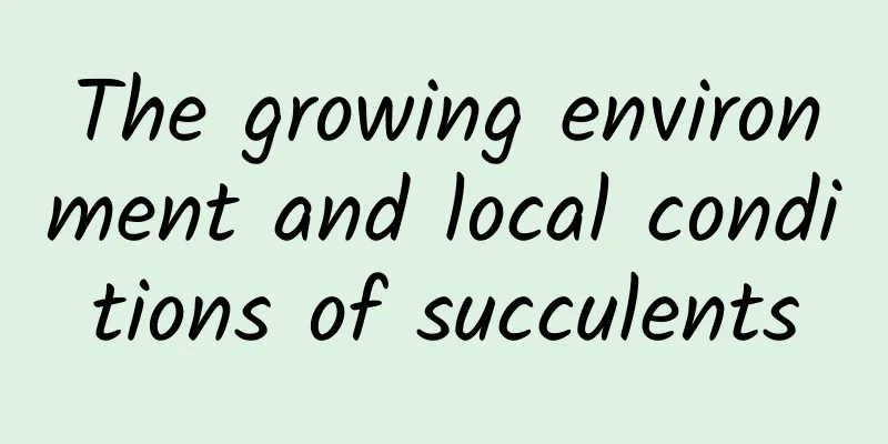 The growing environment and local conditions of succulents