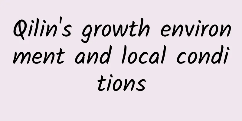 Qilin's growth environment and local conditions