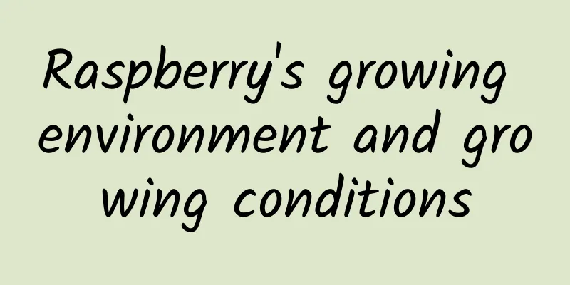 Raspberry's growing environment and growing conditions