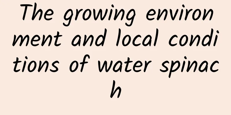 The growing environment and local conditions of water spinach