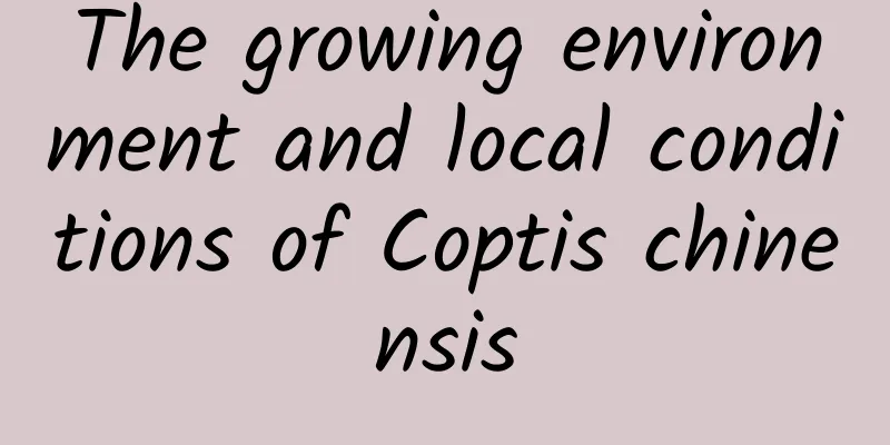The growing environment and local conditions of Coptis chinensis