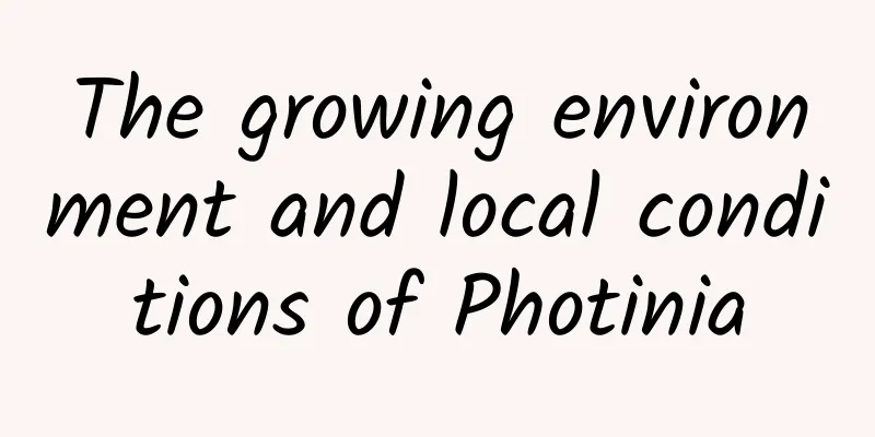 The growing environment and local conditions of Photinia