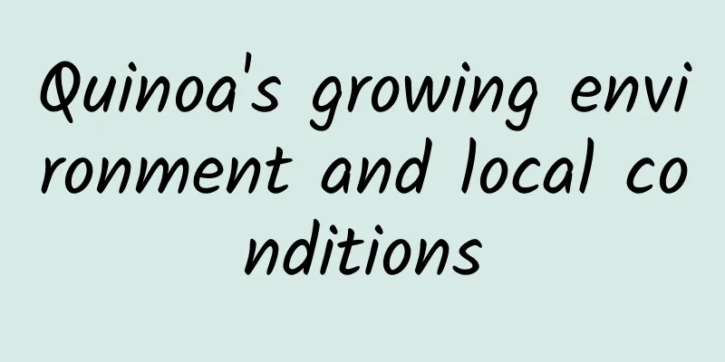 Quinoa's growing environment and local conditions