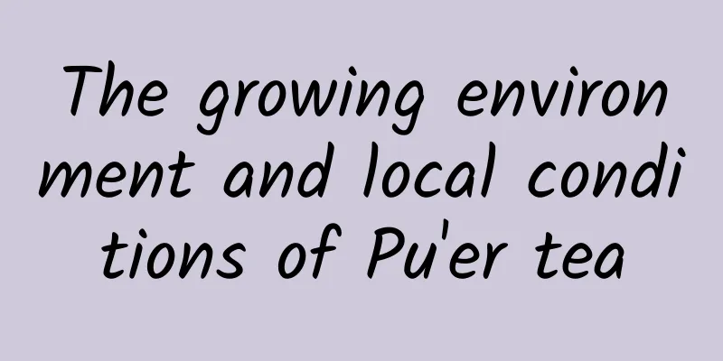 The growing environment and local conditions of Pu'er tea
