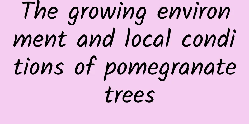 The growing environment and local conditions of pomegranate trees